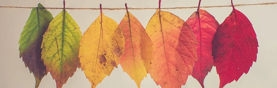 7 ways to get your home ready for autumn