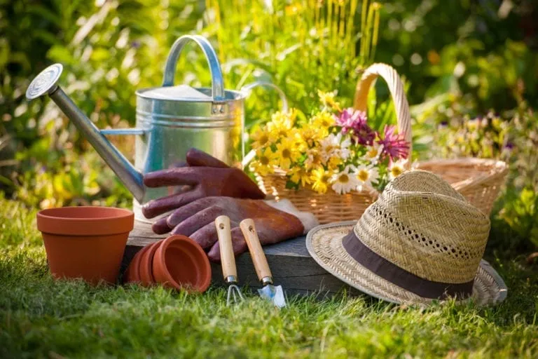 gardening tips for july