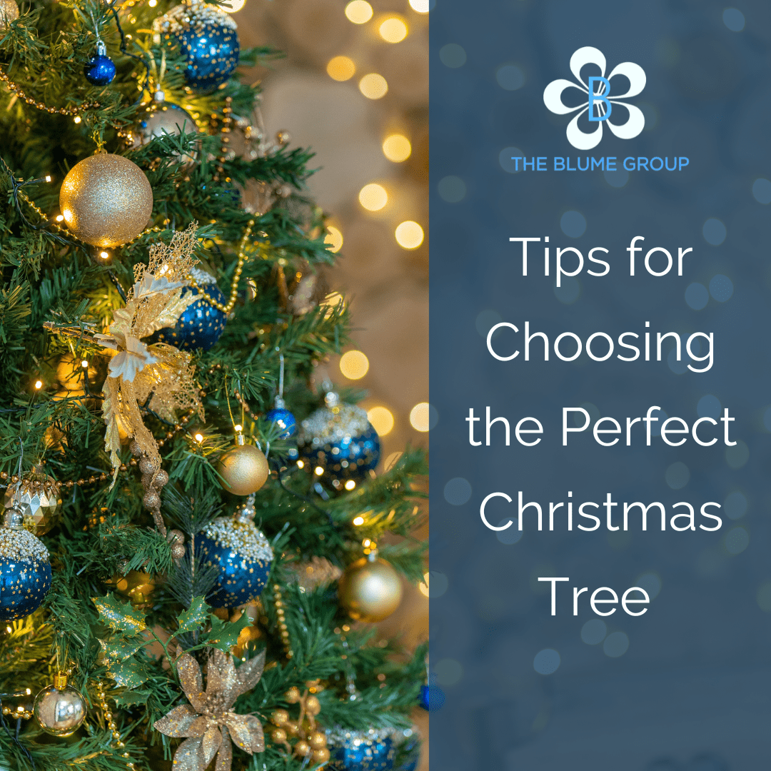 Tips for Choosing the Perfect Christmas Tree